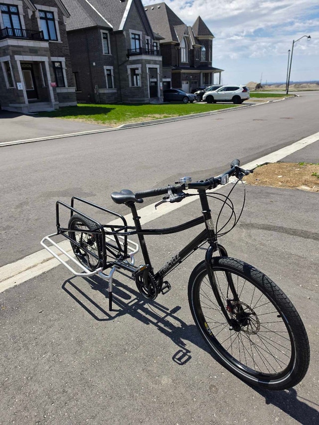 Carry 2 Kids Easily – Xtracycle Cargo Bike – Ready to Ride Today - photo 4