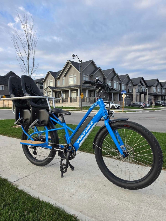 Cargo E-Bike – 2 Thule Seats + Longtail Hooptie - photo 2
