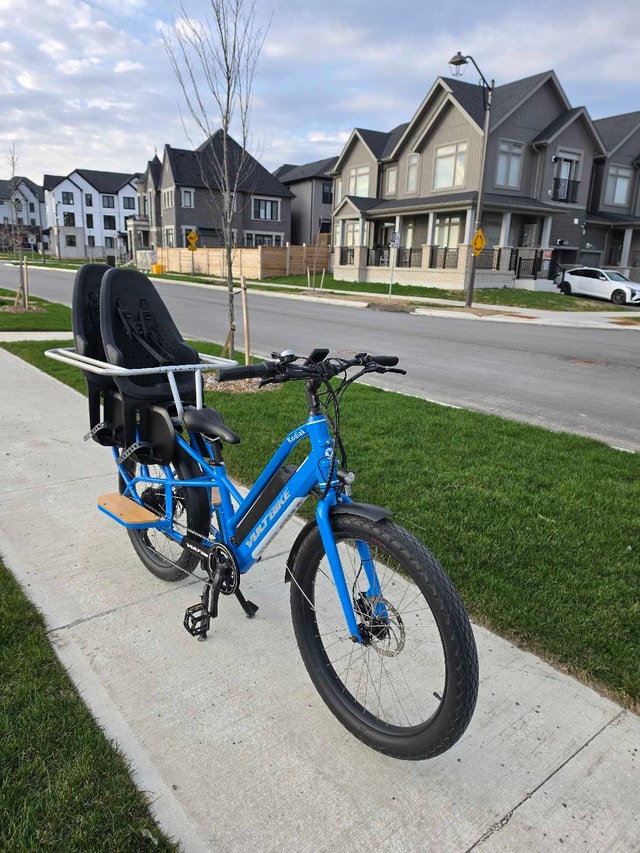 Cargo E-Bike – 2 Thule Seats + Longtail Hooptie - photo 3