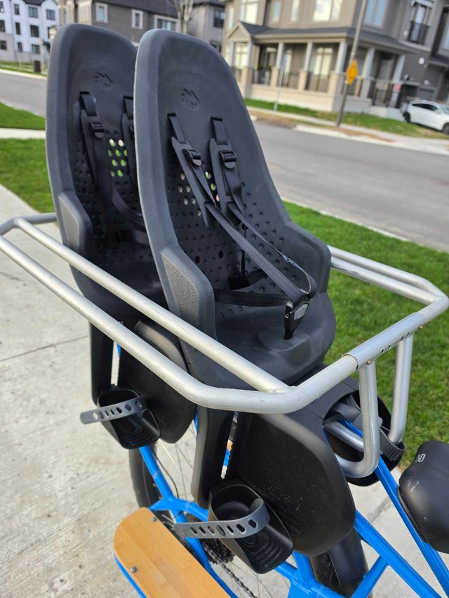 Cargo E-Bike – 2 Thule Seats + Longtail Hooptie - photo 5
