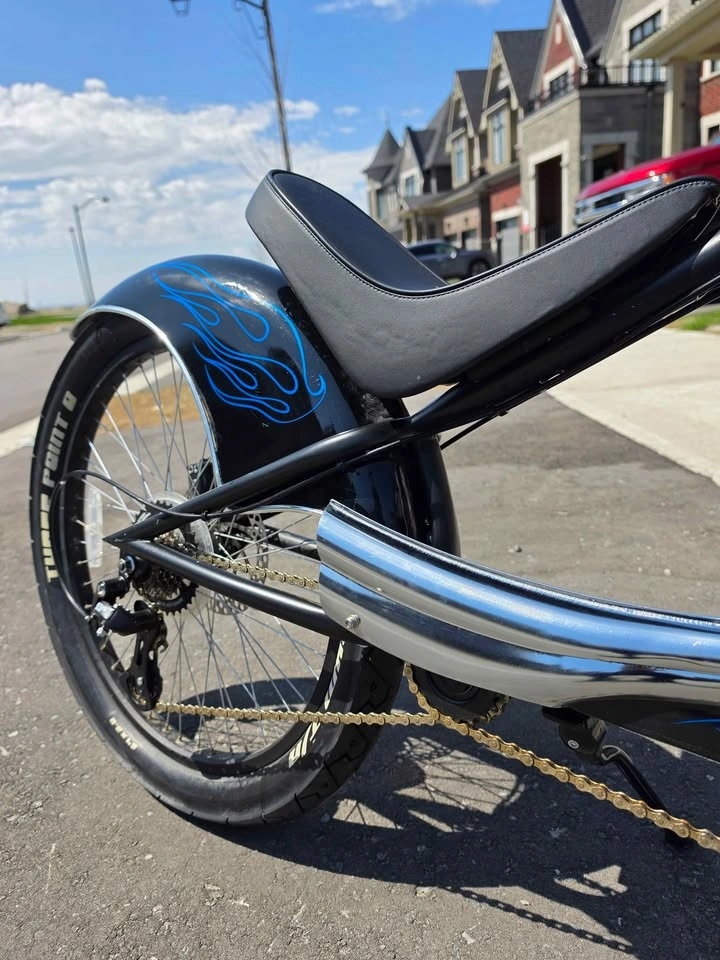 Custom Stretch Chopper Cruiser – Dual Chain Jackshaft – Springer - photo 2