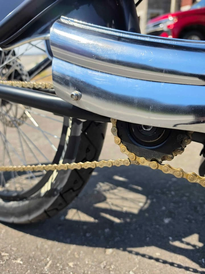 Custom Stretch Chopper Cruiser – Dual Chain Jackshaft – Springer - photo 3