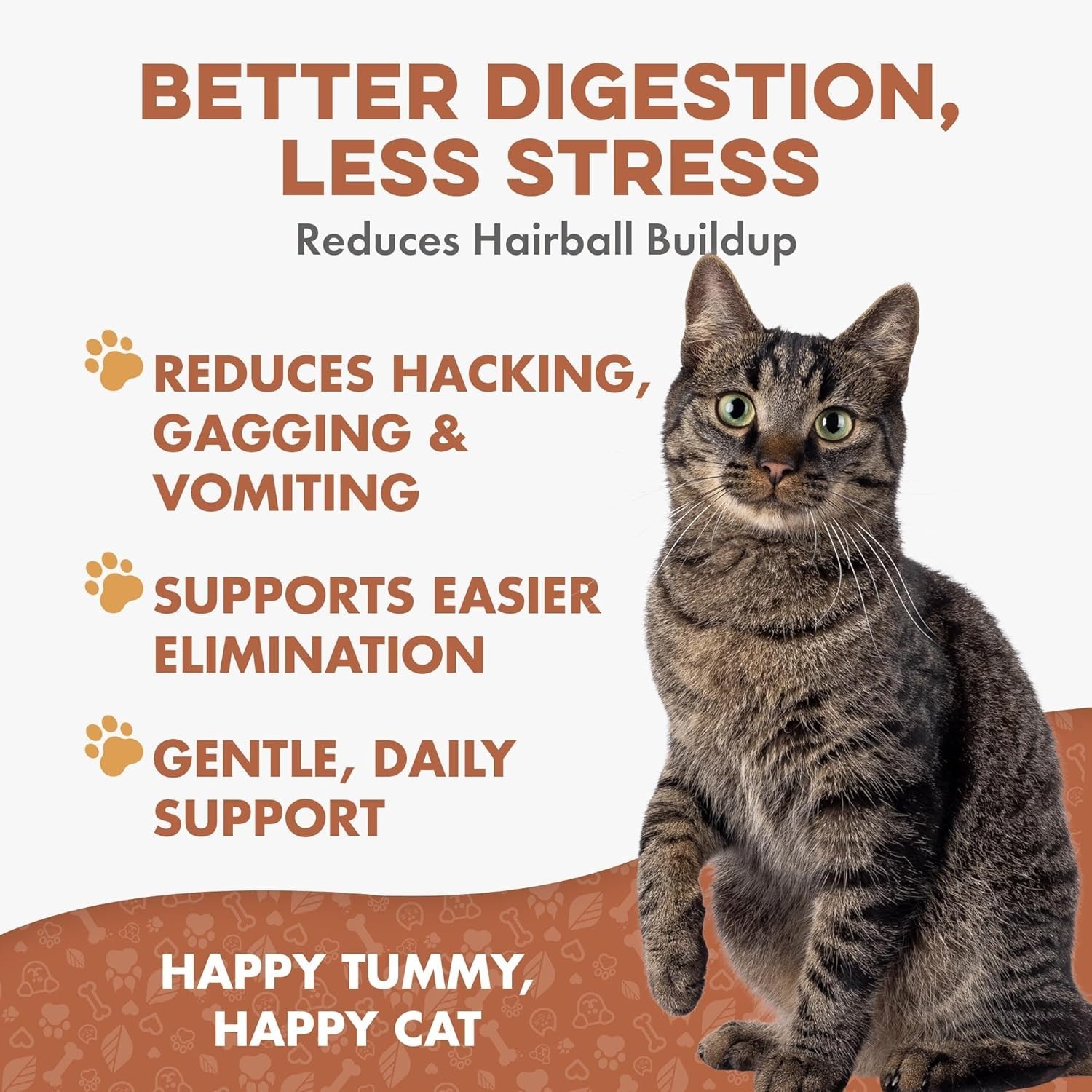 Hairball Treatment for Cats & Stomach Comfort - photo 5