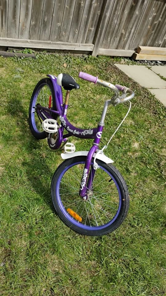 16 inch Supercycle purple girls bike - photo 3