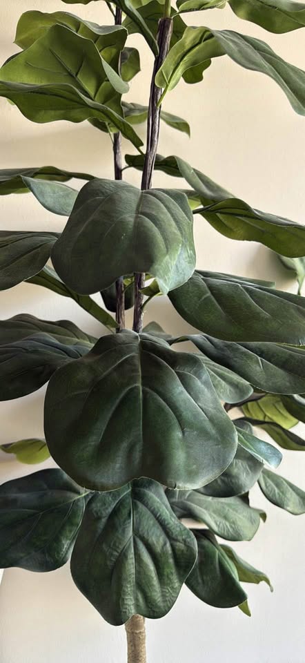 Large Faux Fiddle Leaf Fig Plant - photo 3