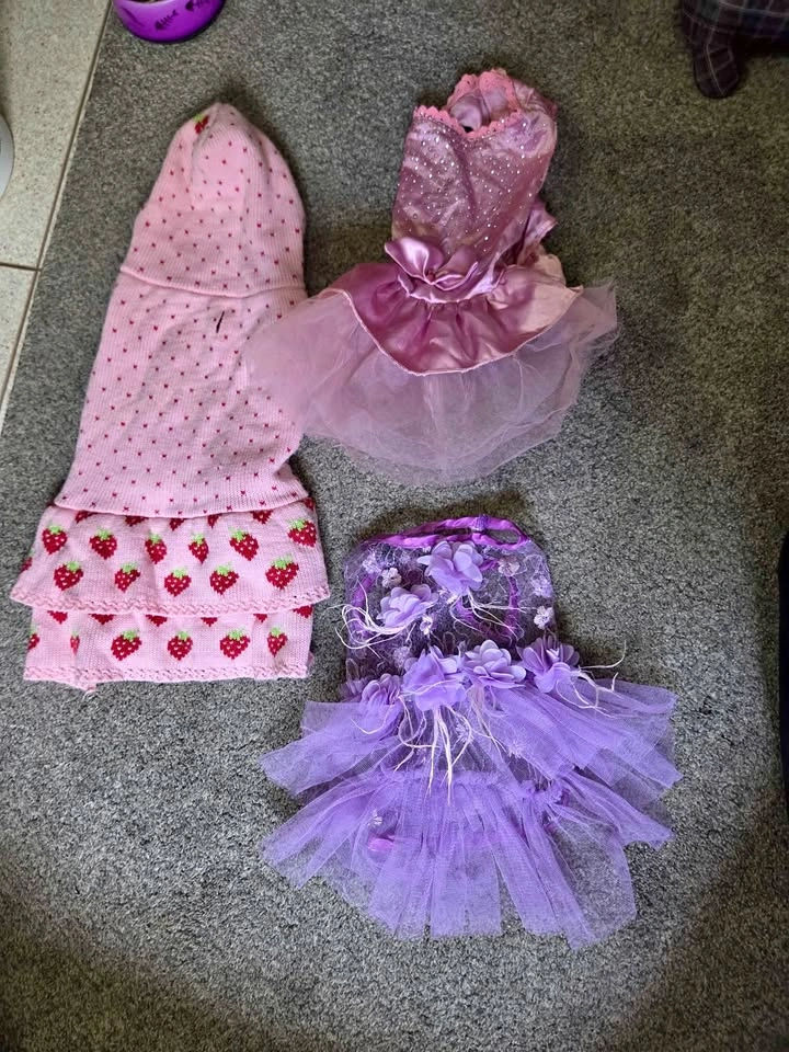 Small dog dresses