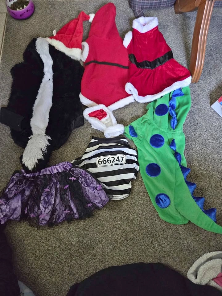 Small dog costumes