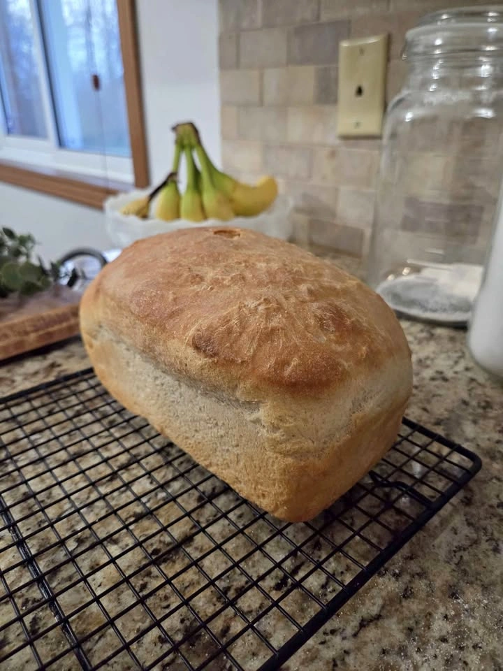 Freshly Baked Homemade Breads