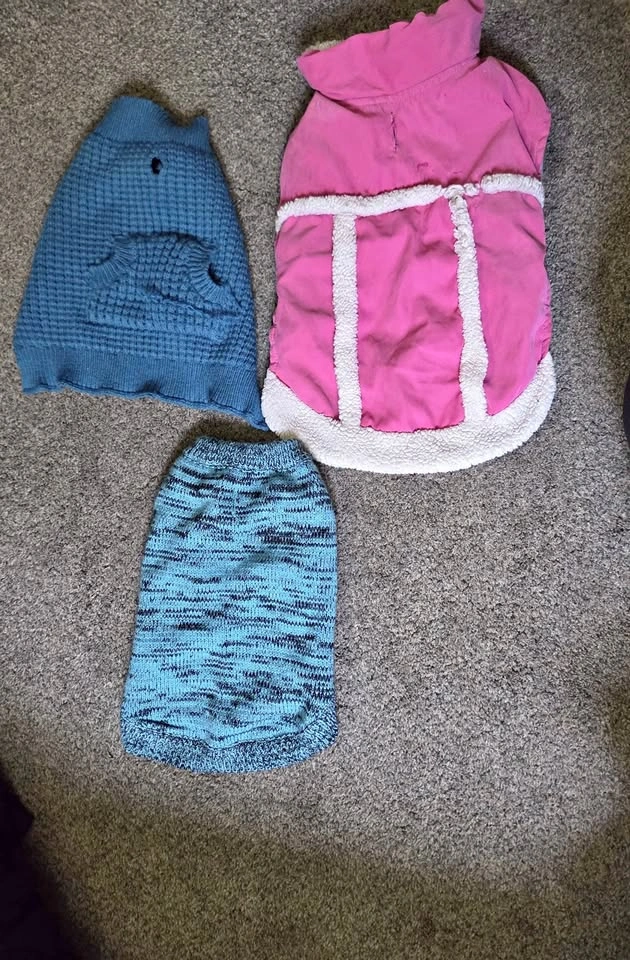 Small dog sweaters