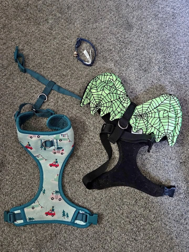 Pet Harness