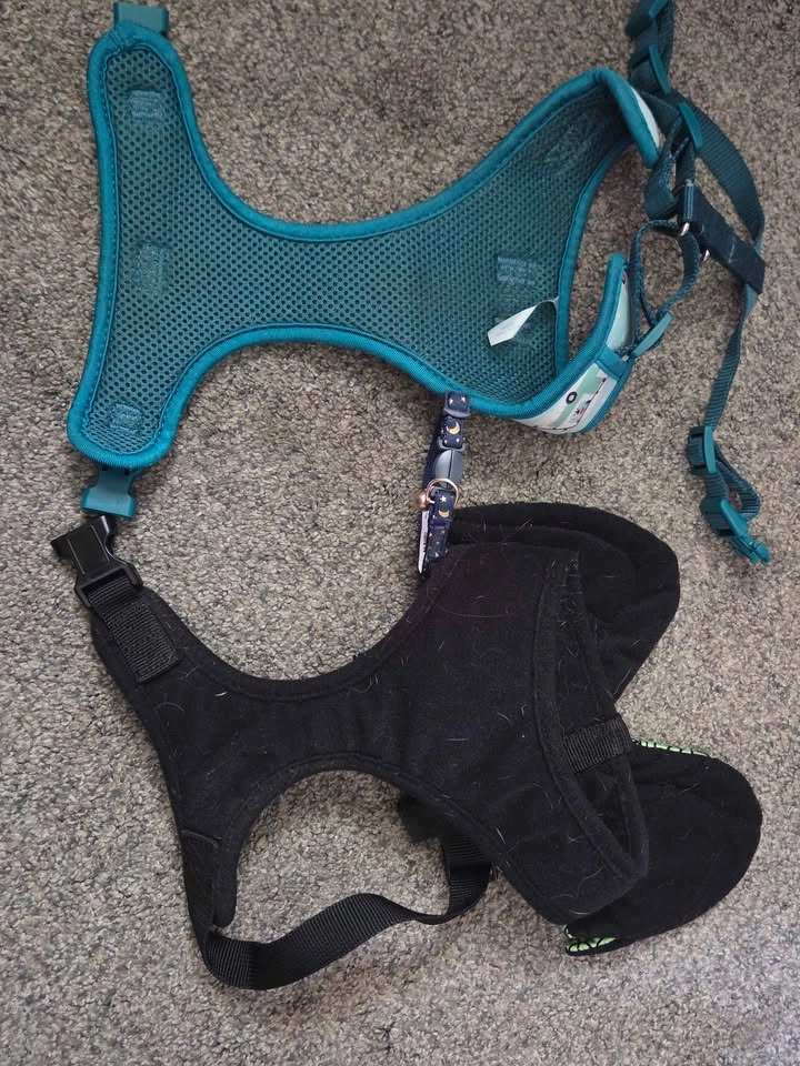Pet Harness - photo 2