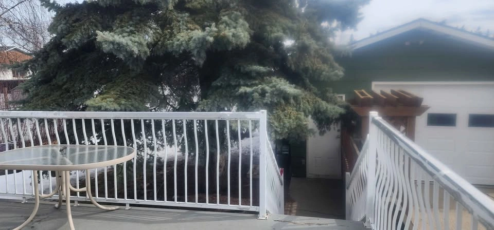 2 Beds 1 Bath - House - photo 2