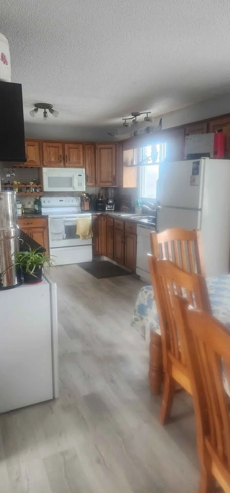 2 Beds 1 Bath - House - photo 3