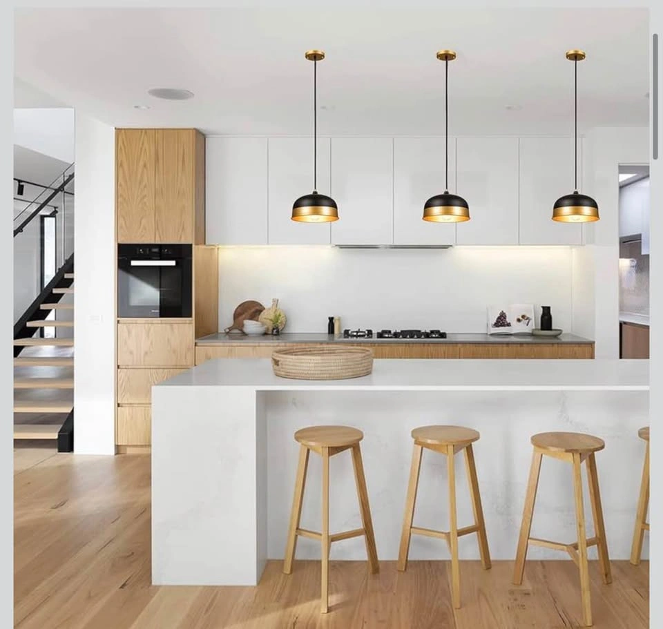 ExBrite Modern Matte Black & Gold Dome Pendant Light - photo 2