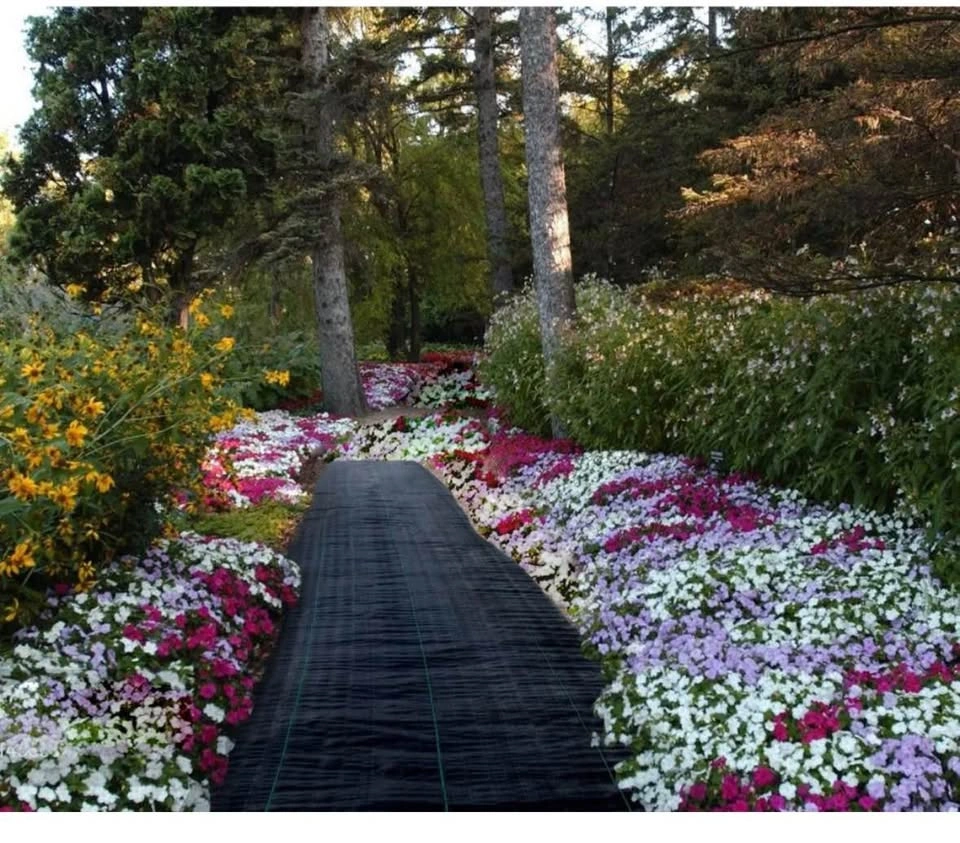 Weed Barrier, Landscape Fabric, 3ft x 200ft - photo 2