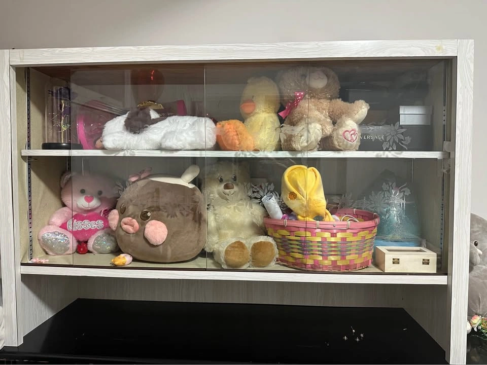 Display Cabinet - photo 2