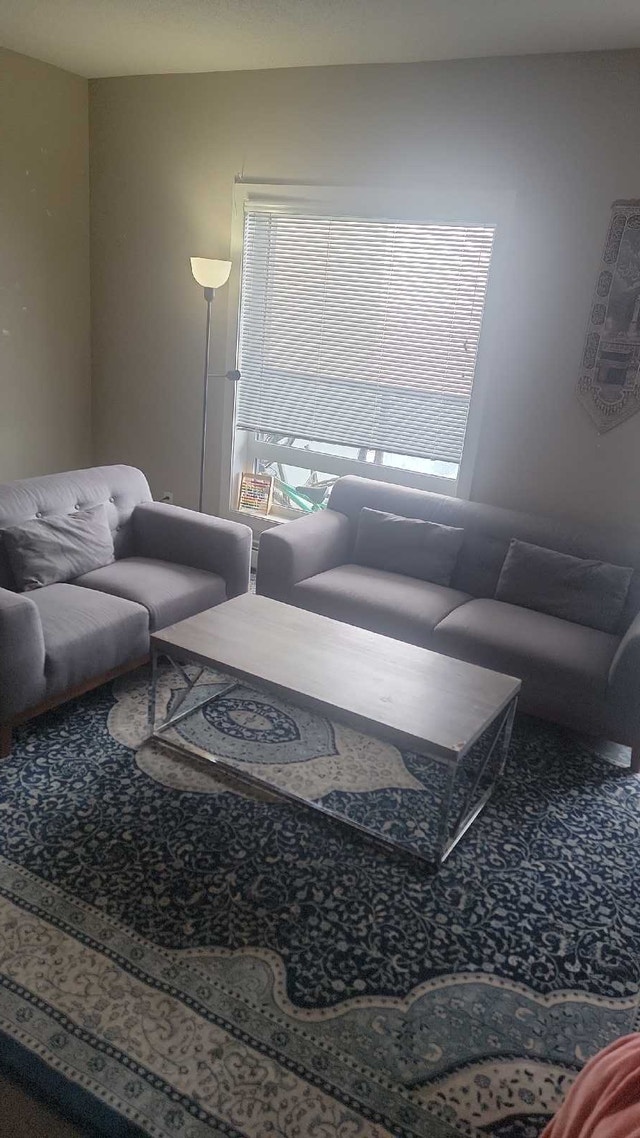 Gray Sofa Set and Coffee Table