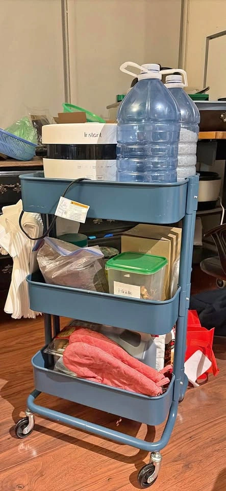 IKEA RÅSKOG Utility Cart