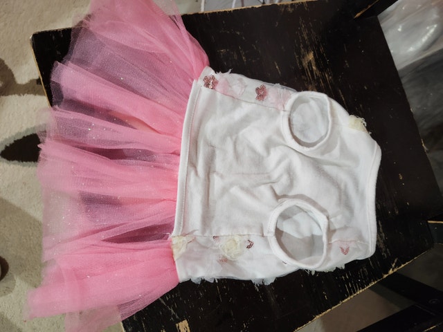 Dog Outfits for Small Dogs (24-29cm, 5.4-8.2kg) - $15-$25 - photo 2