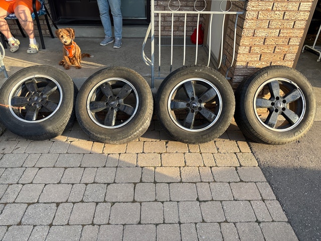 17" Ford Escape Wheels & Michelin Defender Tires – 225/65R17