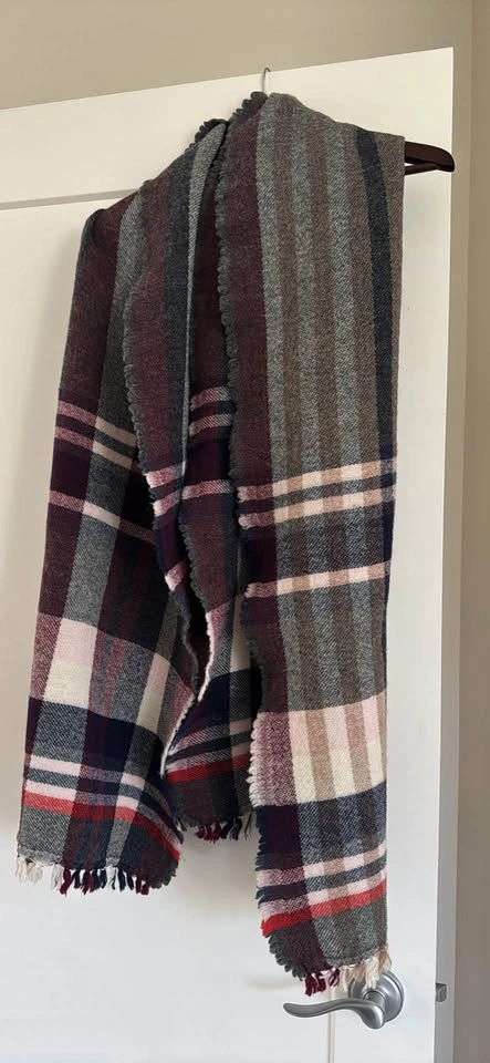 Aritzia - Wilfred Free Scarf - photo 4