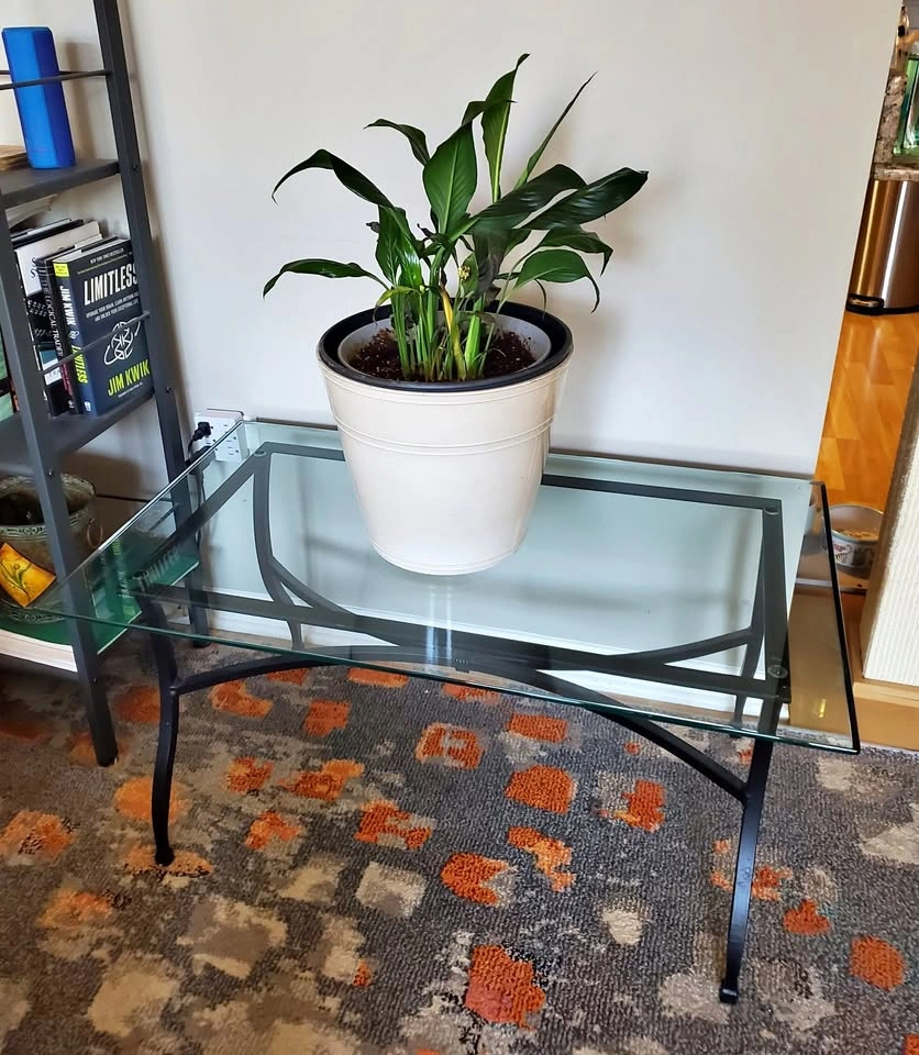 Glass & wrought iron coffee table