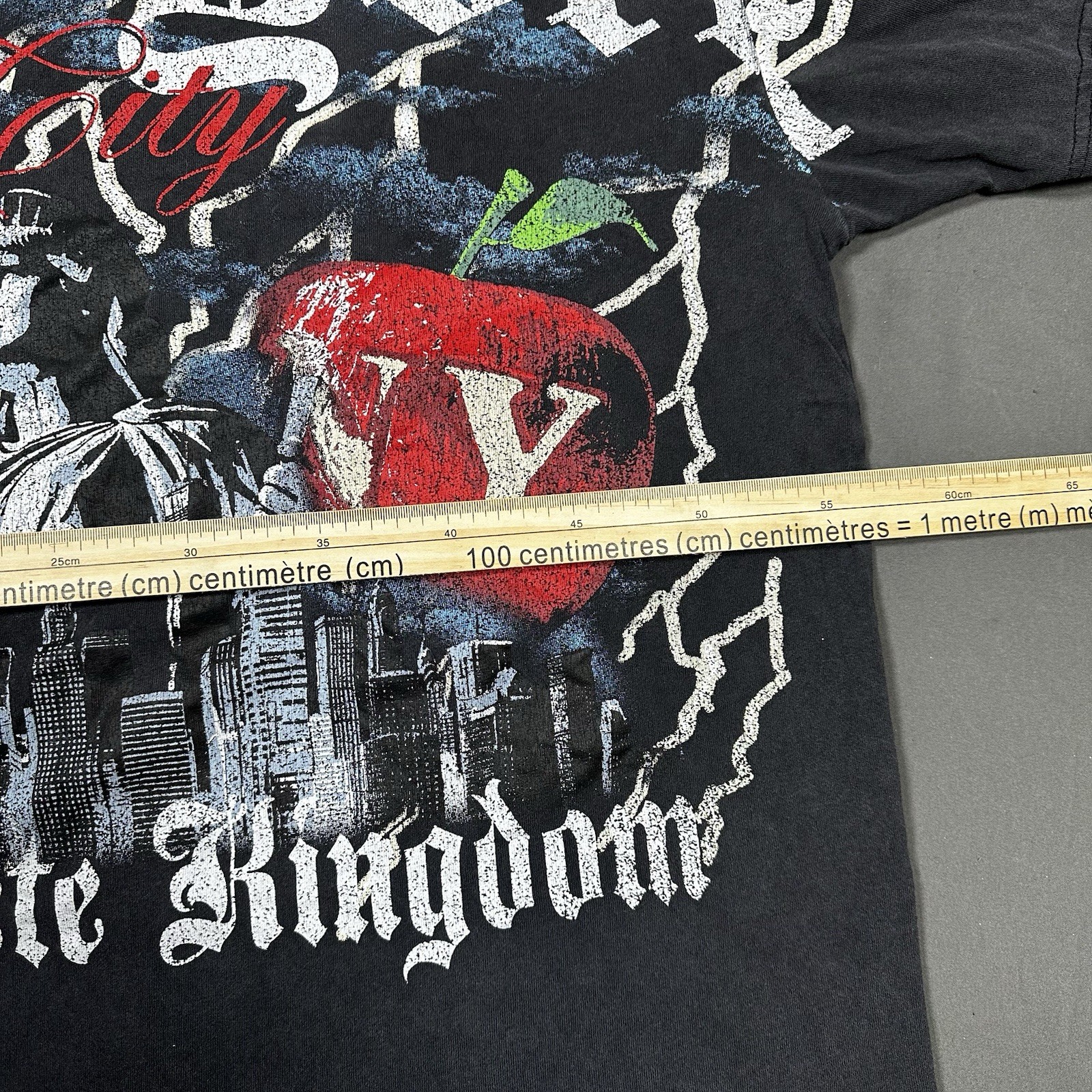 Alpha Collective NYC T-Shirt Large Black - photo 4