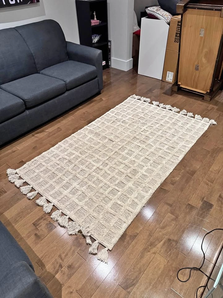 Beige Textured Area Rug with Tassels