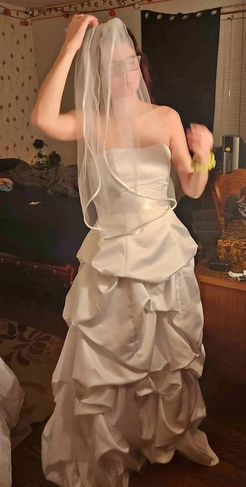 David's Bridal Wedding Dress Size 6 with Veil
