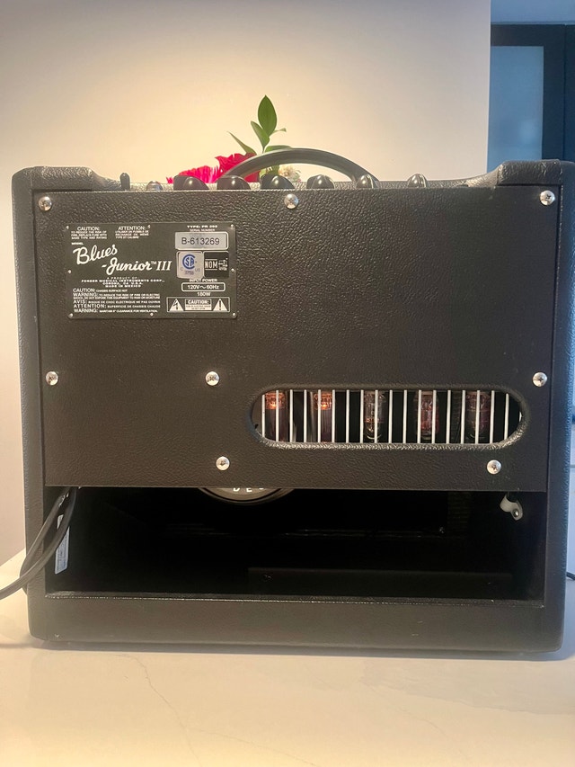 Fender Blues Jr III Tube Amp - photo 5