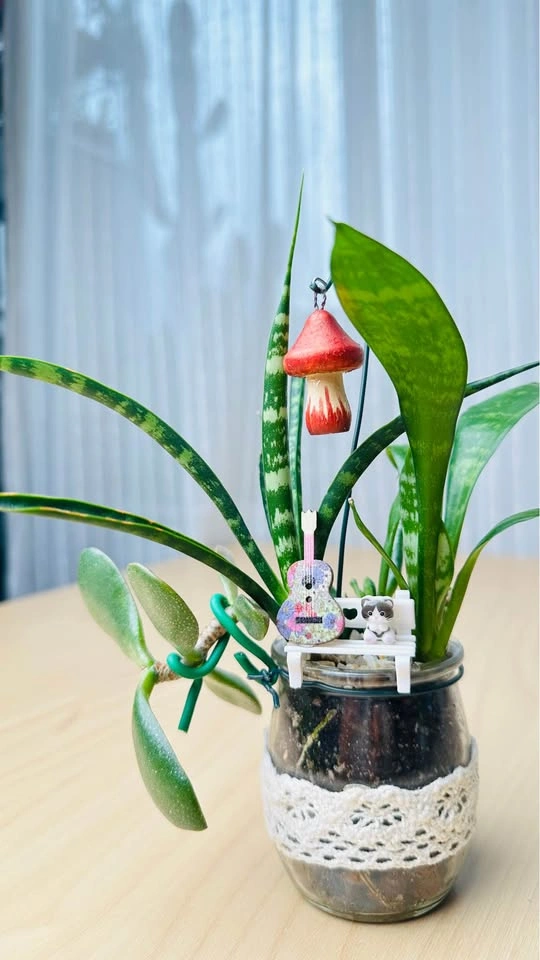 🌱Spring Sale/ cute plant arrangement - photo 3