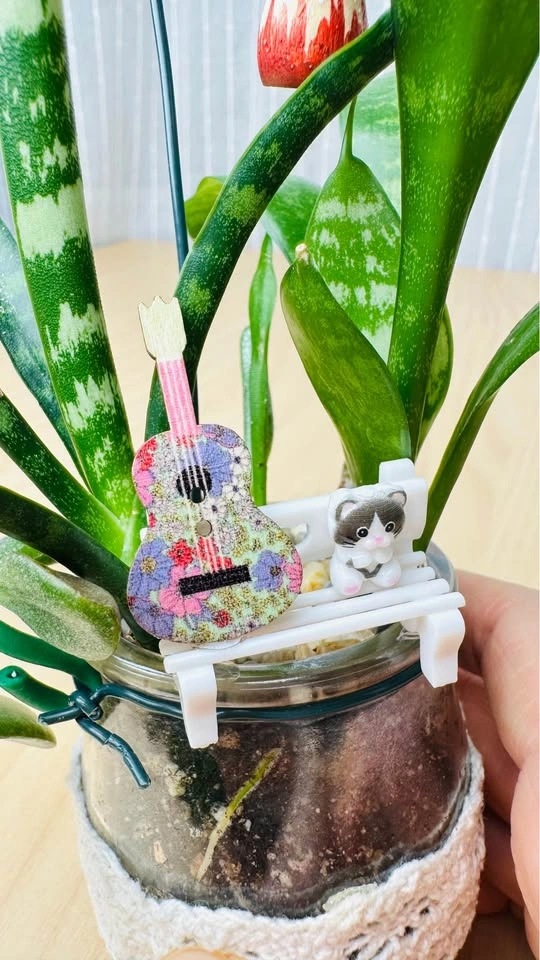 🌱Spring Sale/ cute plant arrangement - photo 4