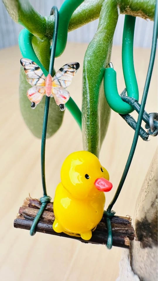 🌱Spring Sale/ cute plant arrangement - photo 5
