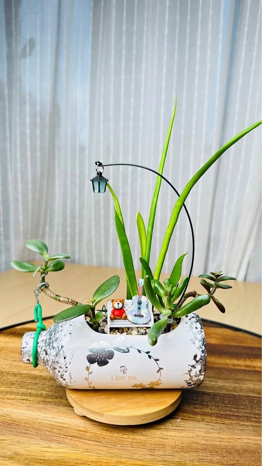 🌱Spring sale/ cute plant arrangement