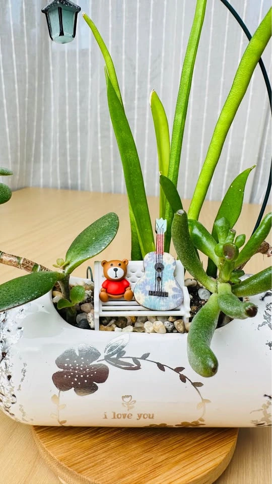 🌱Spring sale/ cute plant arrangement - photo 2
