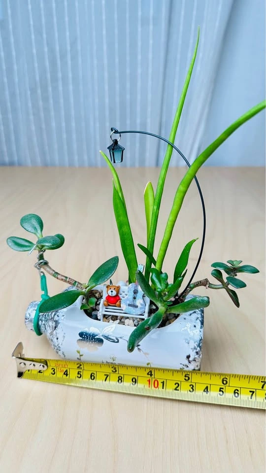 🌱Spring sale/ cute plant arrangement - photo 4