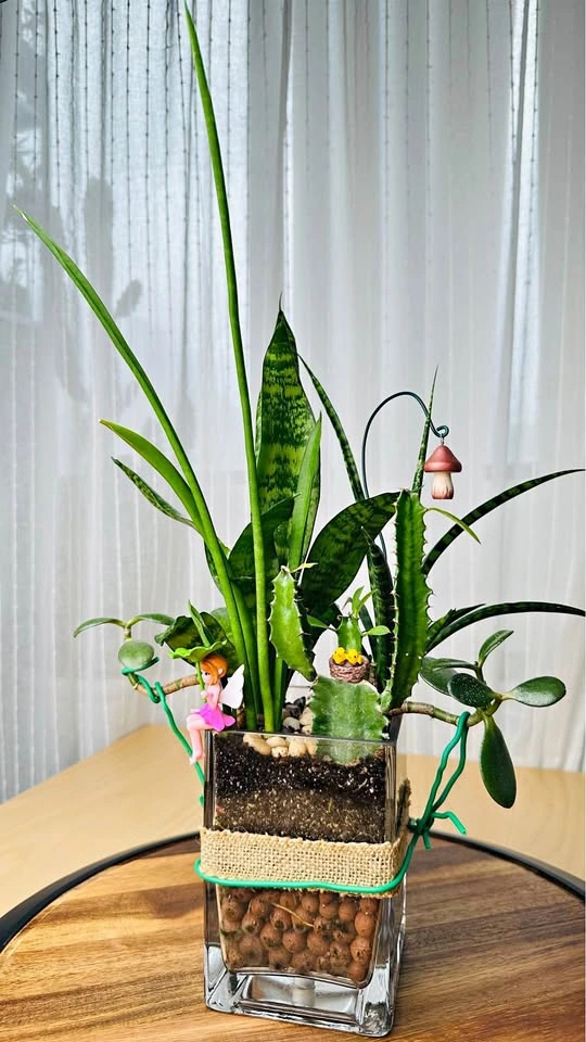 🌱Spring Sale /Cute Plant Arrangement