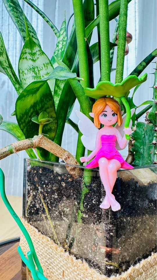 🌱Spring Sale /Cute Plant Arrangement - photo 2