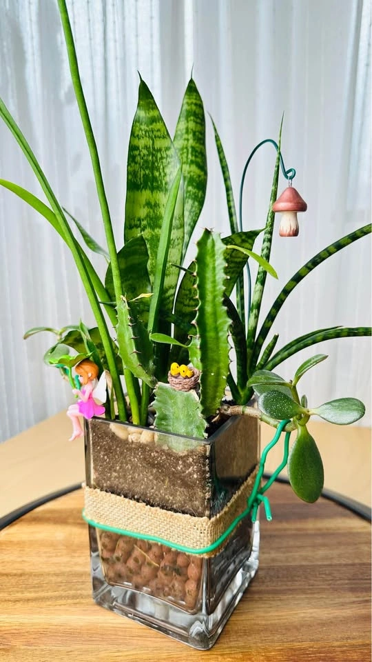 🌱Spring Sale /Cute Plant Arrangement - photo 4