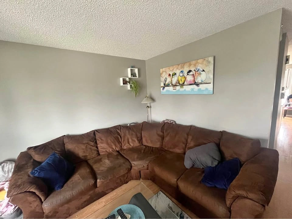 Brown sectional couch