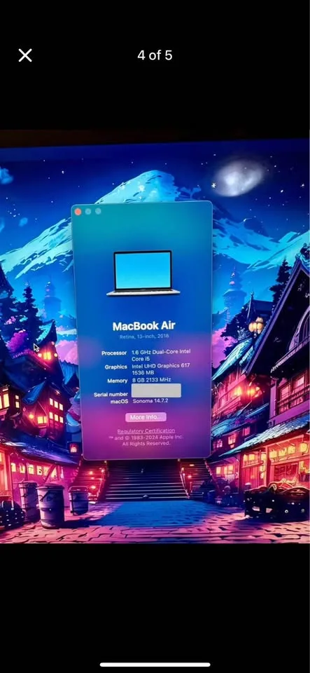 MacBook Air 2018 (13-inch, 250 GB) image indicator(4)