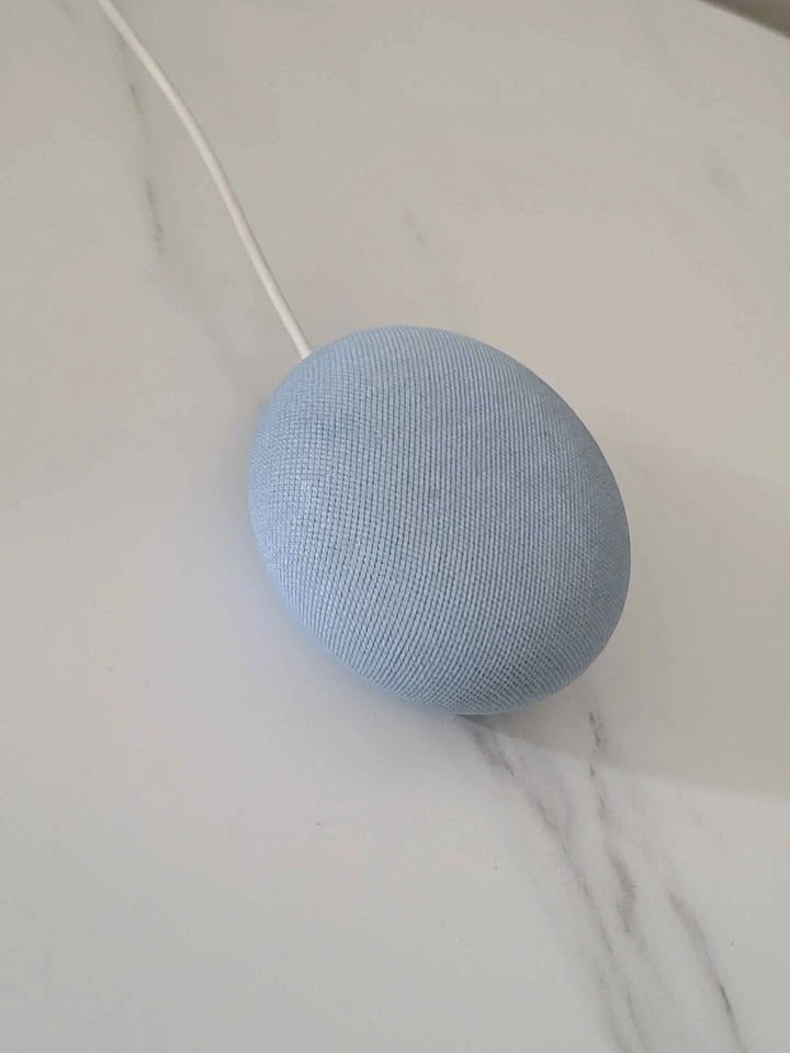 Google Home Mini Smart Speaker