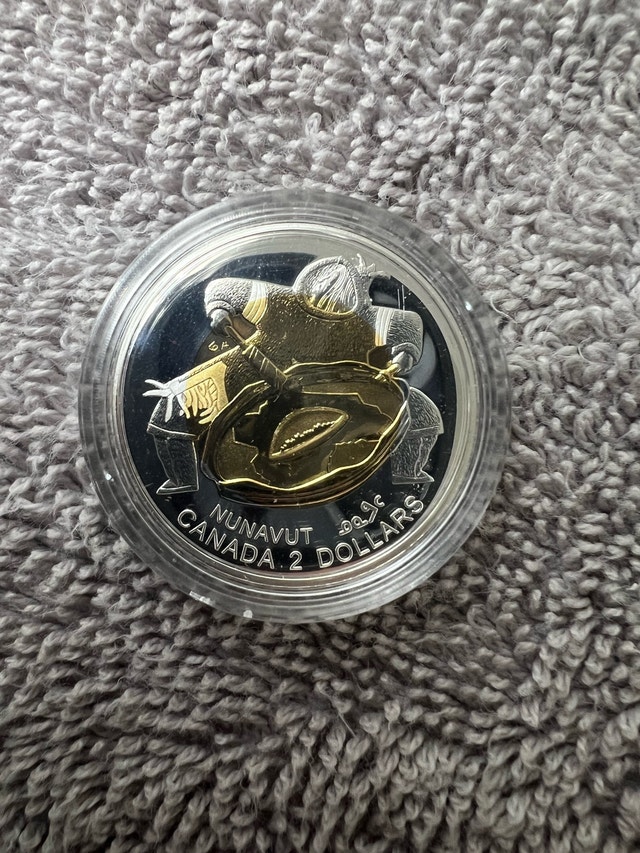 Sterling Silver Toonie