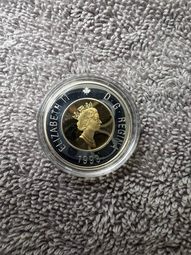 Sterling Silver Toonie - photo 2