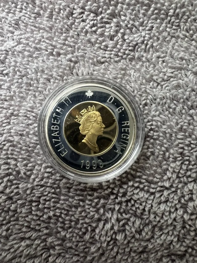 Sterling Silver Toonie - photo 2