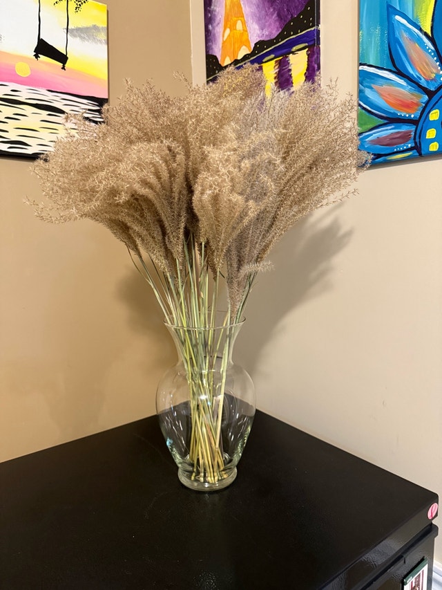 Dried Pampas Grass with vase