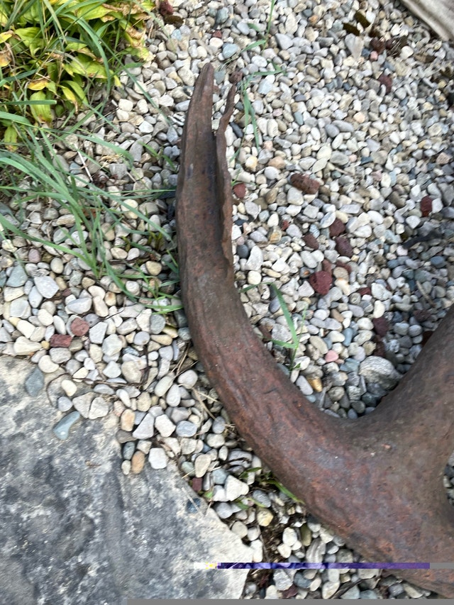 Antique Anchor - photo 4