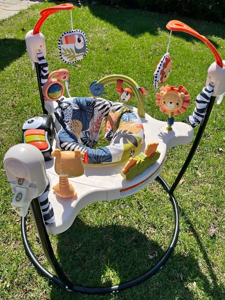 Fisher-Price Baby Bouncer Palm Paradise Jumperoo Activity Center
