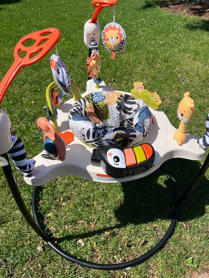 Fisher-Price Baby Bouncer Palm Paradise Jumperoo Activity Center - photo 2