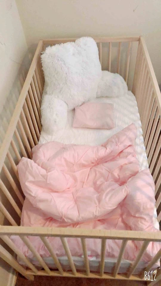 Transformable Crib